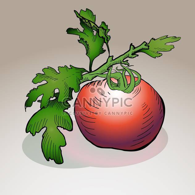 vector illustration of red ripe tomato on grey background - бесплатный vector #126872